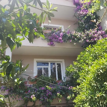 Apartamento Flowers