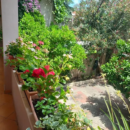 Flowers Tiran