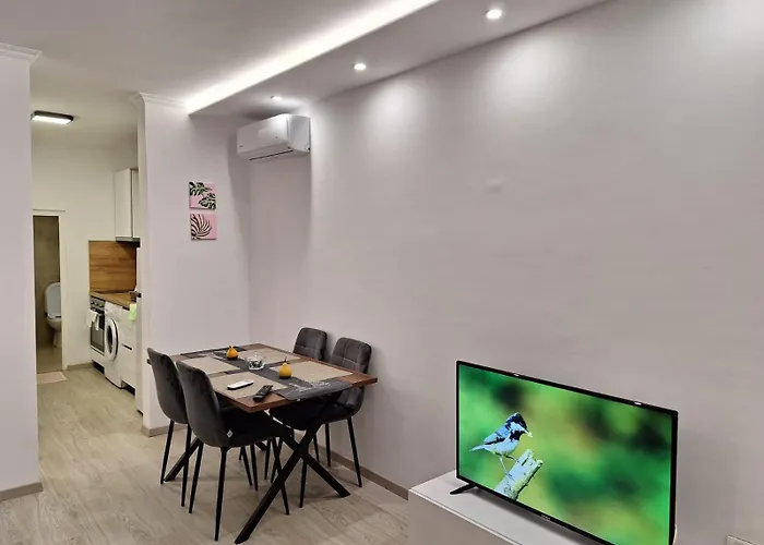 Flowers Apartment *