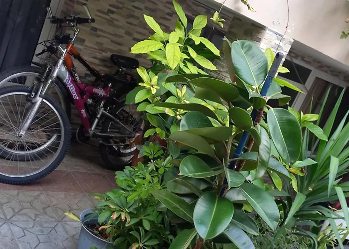 Appartamento Flowers